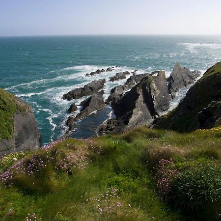 Galley Head Lightkeeper'S Houses Donoure エクステリア 写真