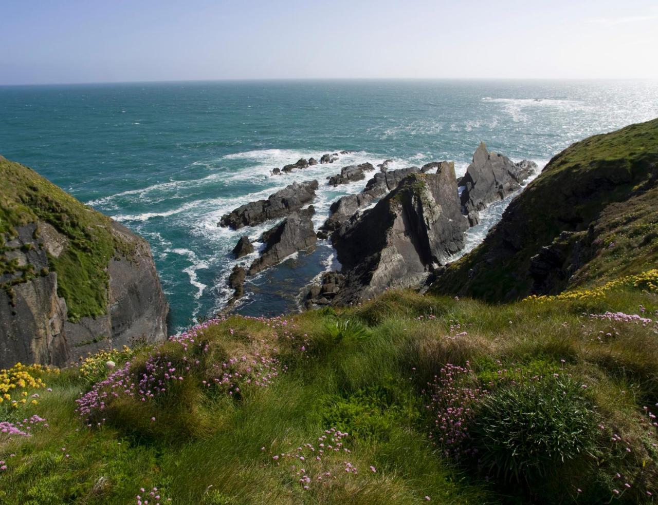 Galley Head Lightkeeper'S Houses Donoure エクステリア 写真
